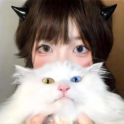 痞子猫 在线观看